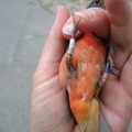 DSCN0612